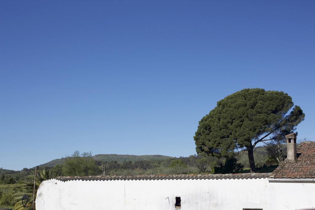La Grulla Dorada Konuk evi Perales del Puerto Dış mekan fotoğraf