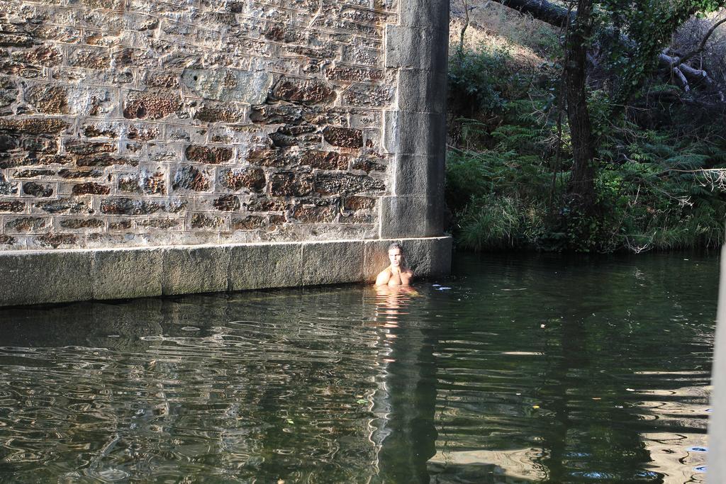 La Grulla Dorada Konuk evi Perales del Puerto Dış mekan fotoğraf