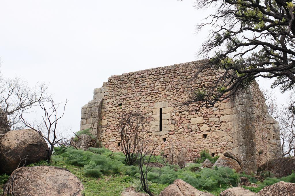 La Grulla Dorada Konuk evi Perales del Puerto Dış mekan fotoğraf