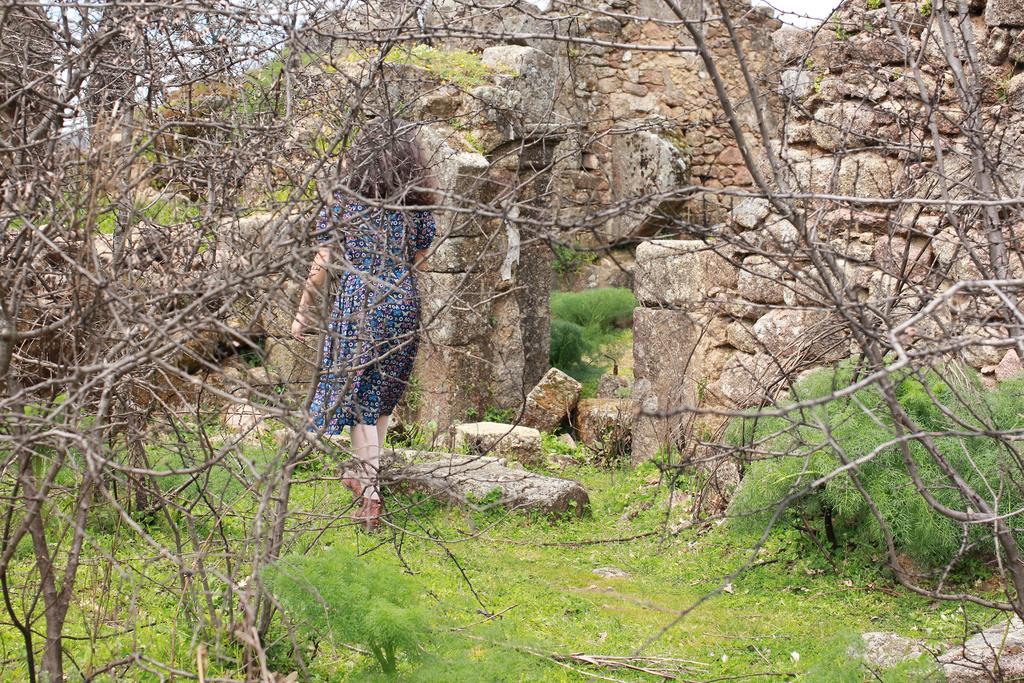 La Grulla Dorada Konuk evi Perales del Puerto Dış mekan fotoğraf
